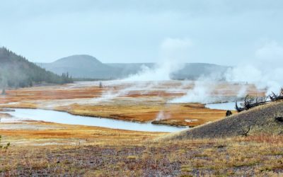 Yellowstone // day 1 [USA 2016 – 14/20]