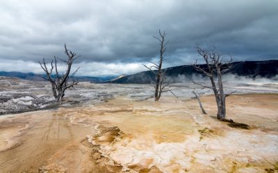 Yellowstone // day 2 [USA 2016 – 15/20]