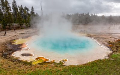 Yellowstone // day 3 [USA 2016 – 16/20]