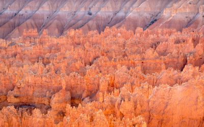 Zion & Bryce NPs [USA 2016 – 8/20]